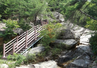 장령산휴양림