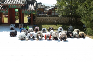 청산 향교 추계 석전제