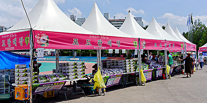 Hyangsu Okcheon Grape & Peach Festival Image1