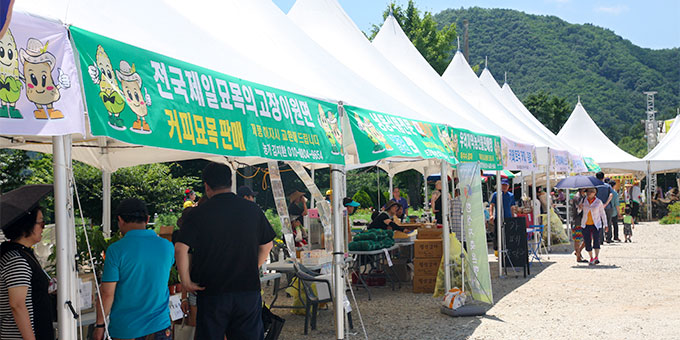 Annae Corn and Potato Festival Image1