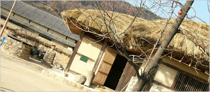 배경화면이미지4
